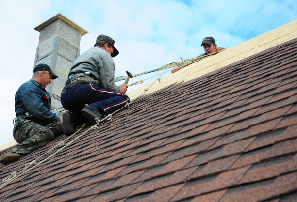 Best Gutter Installation and Roofing  in Highland Park, TX